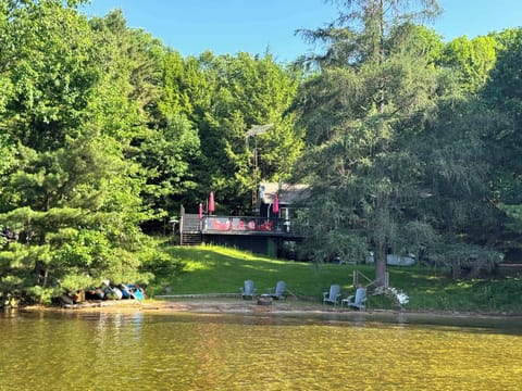 Welcome to Driftwood!