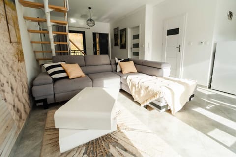 Living room with a sofa bed, kitchenette and dining area.
