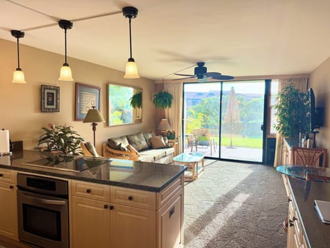 View from kitchen into living room.