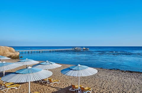 Soak up the sun with loungers and breezy beach umbrellas.
