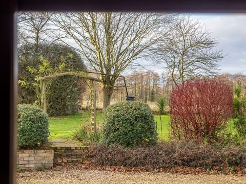 Leaf, Branch, Shrub, Garden, Groundcover, Twig, Trunk, Woody Plant, Hedge, Landscaping