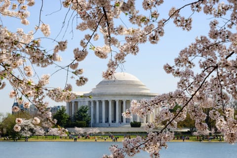 Stroll beneath spring blossoms and savor postcard-perfect views.