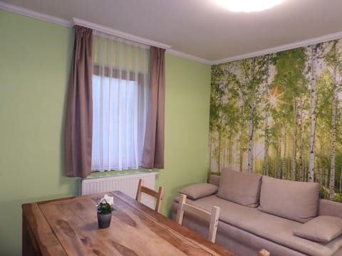 Apartment/flat, shower, WC, river view - Nockalm Cottage Apartment in Carinthia, Austria