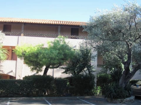 Front view