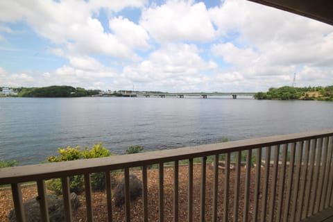 View from the Deck!