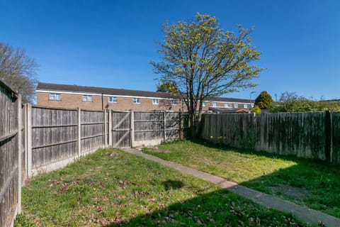 Back Garden