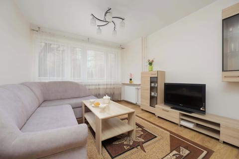 A cozy living room with a beige sofa, a wooden coffee table, and a TV on a stand, illuminated by natural light from a large window.