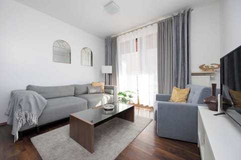 Comfortable, fold-out sofa in the living room. 