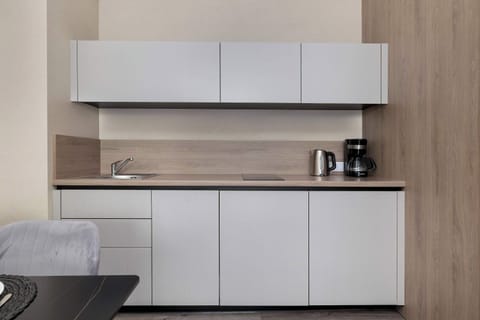 A compact kitchenette with modern cabinetry and minimalist style. Well-equipped for preparing light meals.