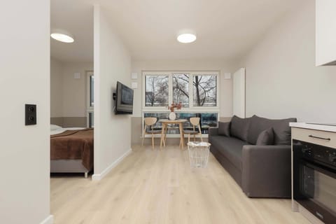 Living room with a double sofa bed, TV and fully equipped kitchenette.