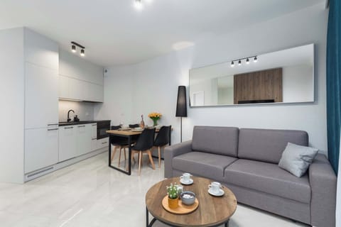 A modern, open-plan apartment combining a comfortable living room with a fully equipped kitchenette and dining area.
