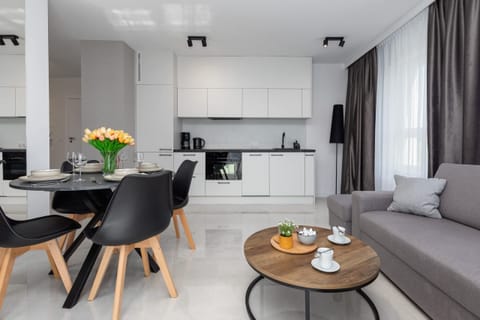 Comfortable, fold-out sofa in the living room.