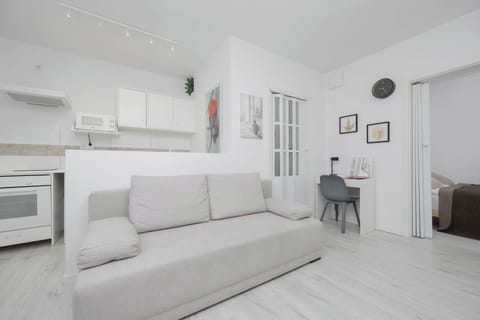 Comfortable, fold-out sofa in the living room. 