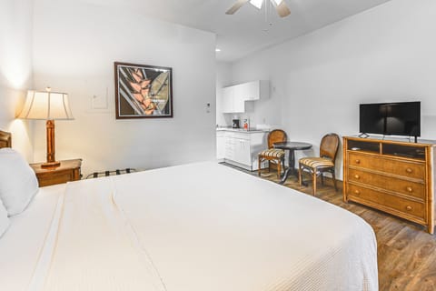 Naples Vacation Rental | Studio | 1BA | Step-Free Entry | 300 Sq Ft
