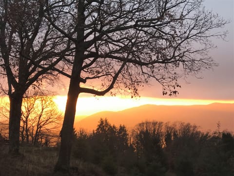 Vue du balcon au levée du soleil