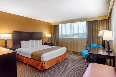 Unit with 1 King Bed