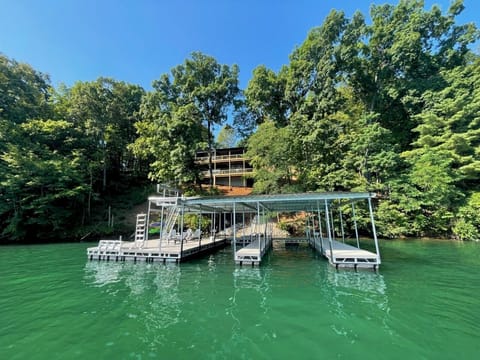 View from Dock
