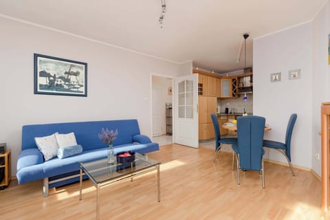 A bright salo with a blue sofa bed.