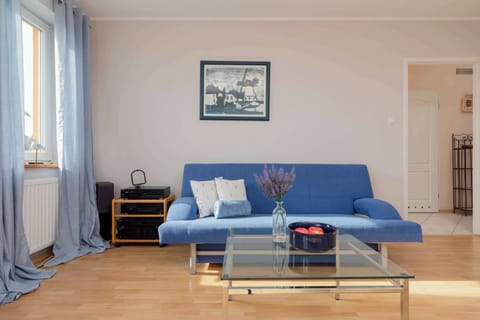 A bright salo with a blue sofa bed.