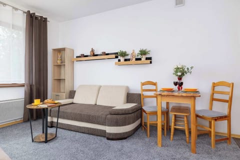 The living area features a beige sofa, a small black coffee table, and a dining table with four wooden chairs. A large window provides ample natural light.