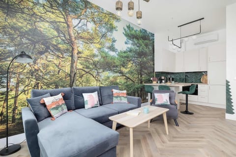 Comfortable, fold-out sofa in the living room. 