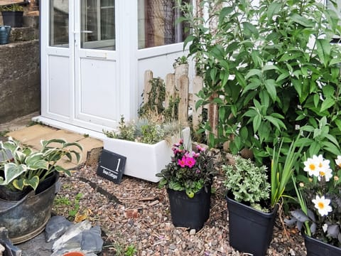 Garden | Swan Cottage, Corwen and the Berwyn Mountains