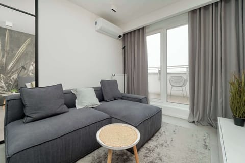 Bright and elegant living room with kitchenette, dining area, television, and coffee table.