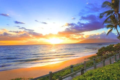 Golden hour magic in Maui—where the ocean breeze, palm trees, and sunset views create the perfect island escape.