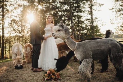 Wisconsin Dells Elopements are allowed with an additional agreement and fee.