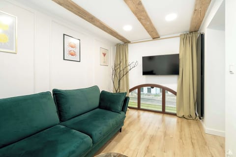 Cozy studio with a green sofa bed, TV, double bed separated by a wall and decorative elements.