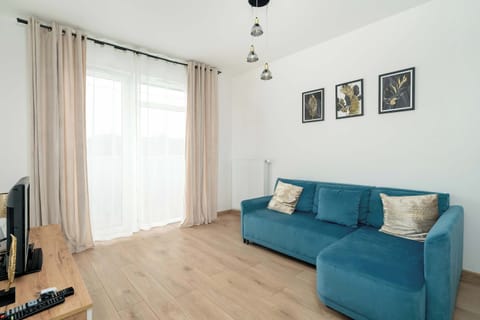 A cozy living room with a stylish blue sofa, decorated with cushions, offering a comfortable seating area.