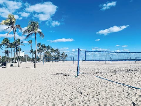 Play beach volleyball under bright skies and swaying palms.