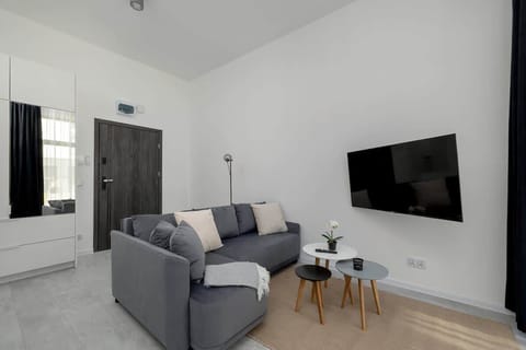 Bright studio apartment with a modern grey sofa, wall-mounted TV, and minimalist décor.