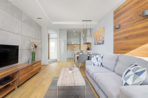 In the modern living room, there is a comfortable gray sofa, with a TV placed on a wooden cabinet opposite it. In the background, the kitchenette with white cabinets and a wooden countertop seamlessly blends into the open living space.