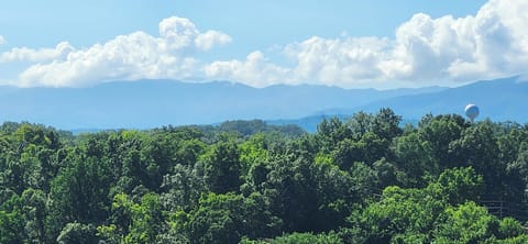 Gorgeous Smoky Mountains view from balcony
