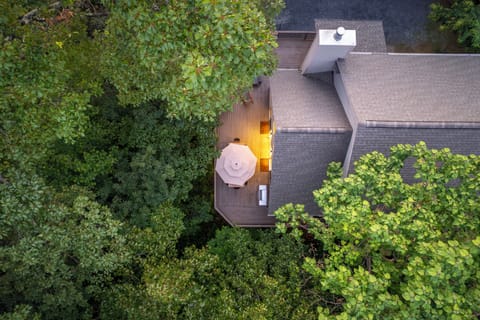 Surrounded by trees on the mountain. 