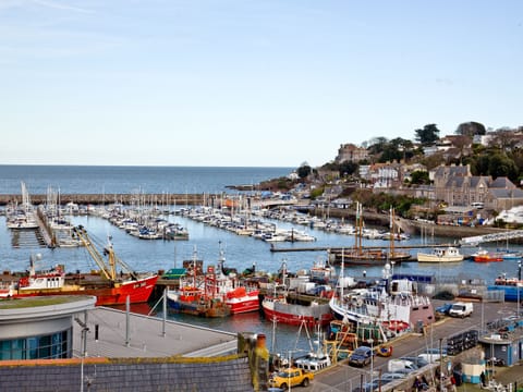View | Harbourside, Brixham