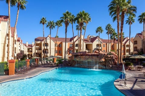 Dive into a sparkling resort pool framed by palms.