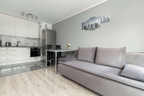 The living area features a sleek coffee table and a flat-screen television.