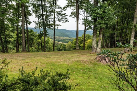 View from back door