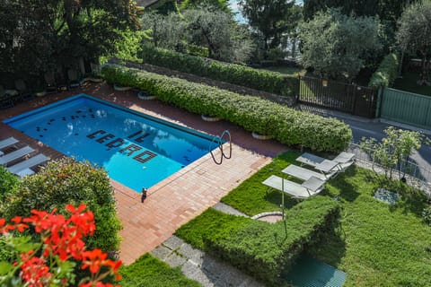 16168d52-cd1f-40e8-87ff-31e77b1e7061