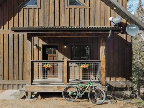 Welcome to Rambil' Rose