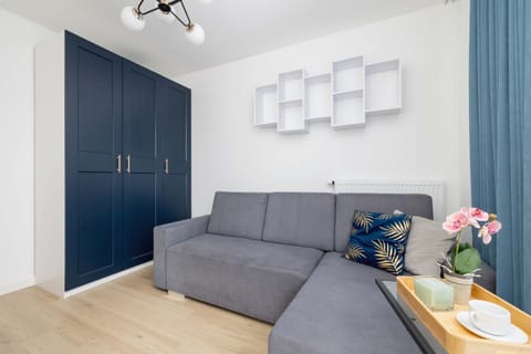 Bedroom with a comfortable sofa bed and spacious closet.