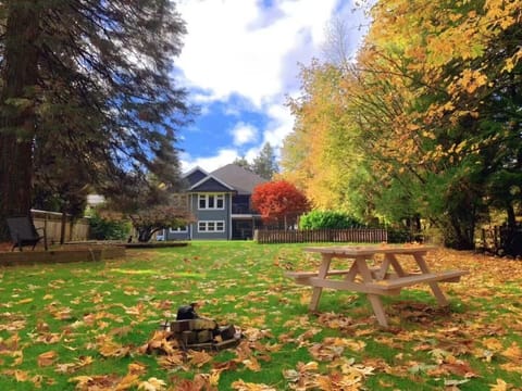 Property - rear view