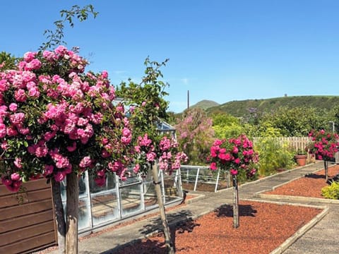 Surrounding area | Foreland Cottage, Ballantrae