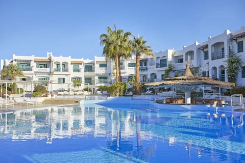 Sip and splash around the palm island pool oasis.