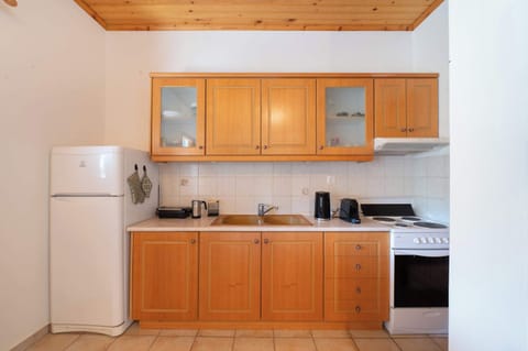Fully equipped kitchen with wooden finishes