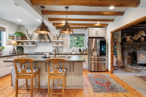 Modern kitchen in historic cabin