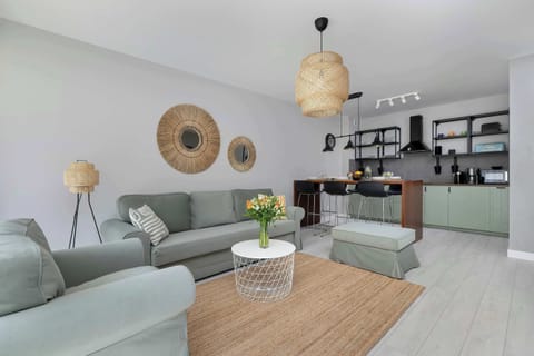 Comfortable, fold-out sofa in the living room.