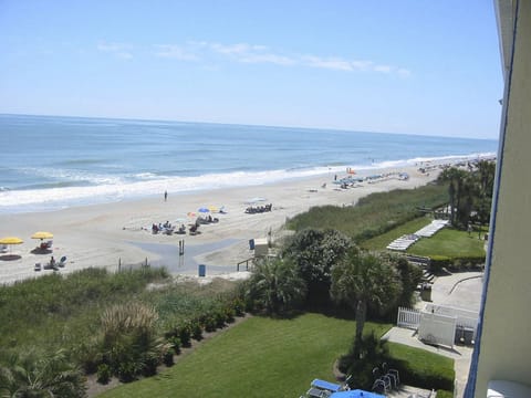 Wake up to breathtaking oceanfront views right from your balcony.